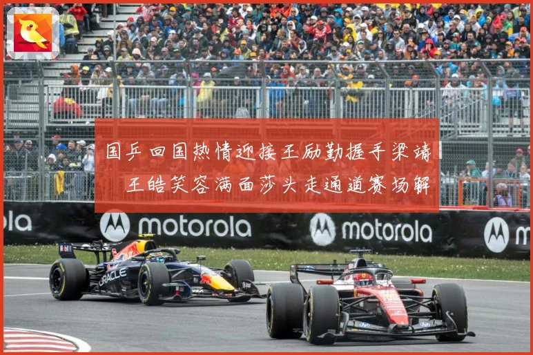 国乒回国热情迎接王励勤握手梁靖崑王皓笑容满面莎头走通道赛场解读：最新赛事动态与深度分析